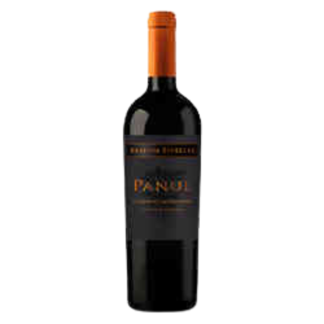 Vino Panul Reserva Especial Cabernet Sauvignon | Aroma Bouquet